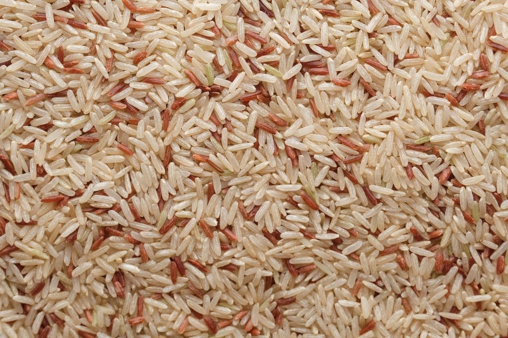 arroz integral-4994747_1920