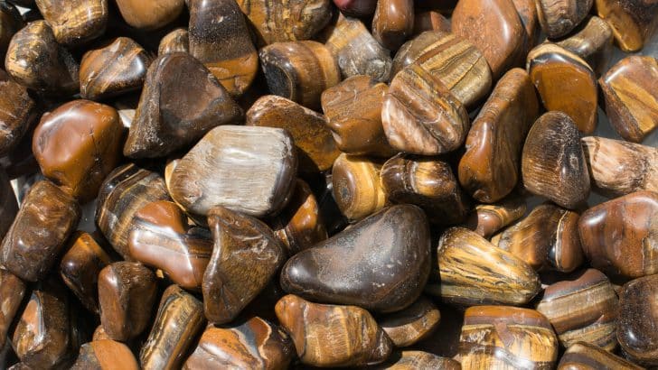 What Is the Tiger’s Eye Chakra: Energy and Vitality 