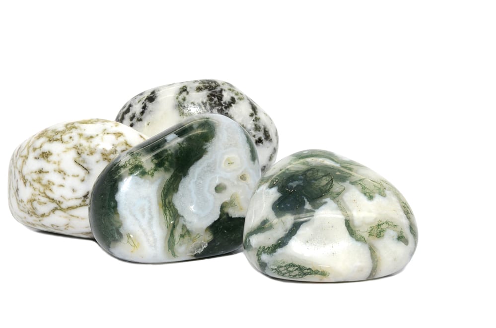 Tree Agate