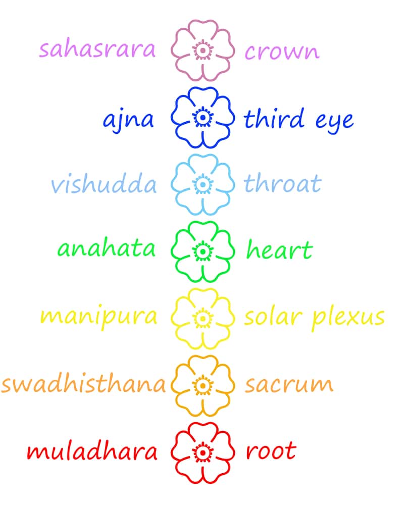 the 7 chakras