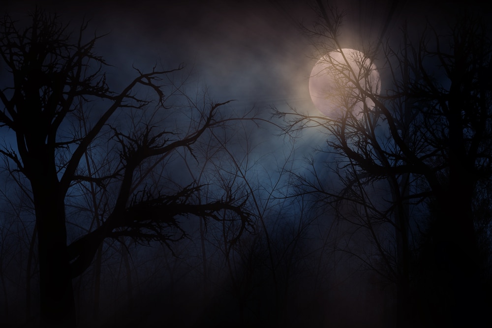 Samhain, Witchy Spiritual Stuff