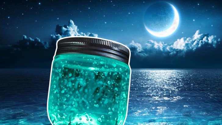 Rituals for the Full Moon: How To Make Your Very Own Moon Water