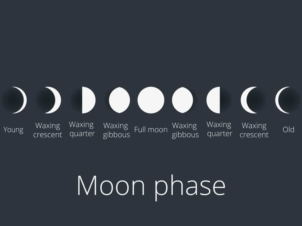The phases of the moon. The whole cycle from new moon to full.