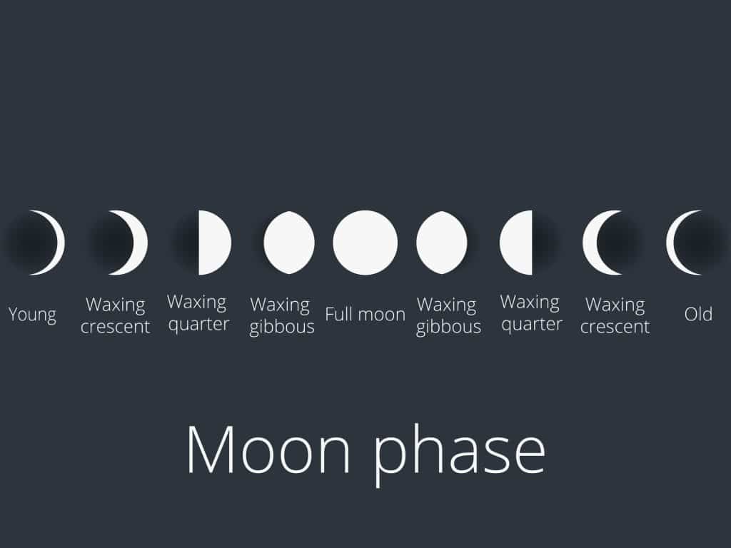 The phases of the moon. The whole cycle from new moon to full. 