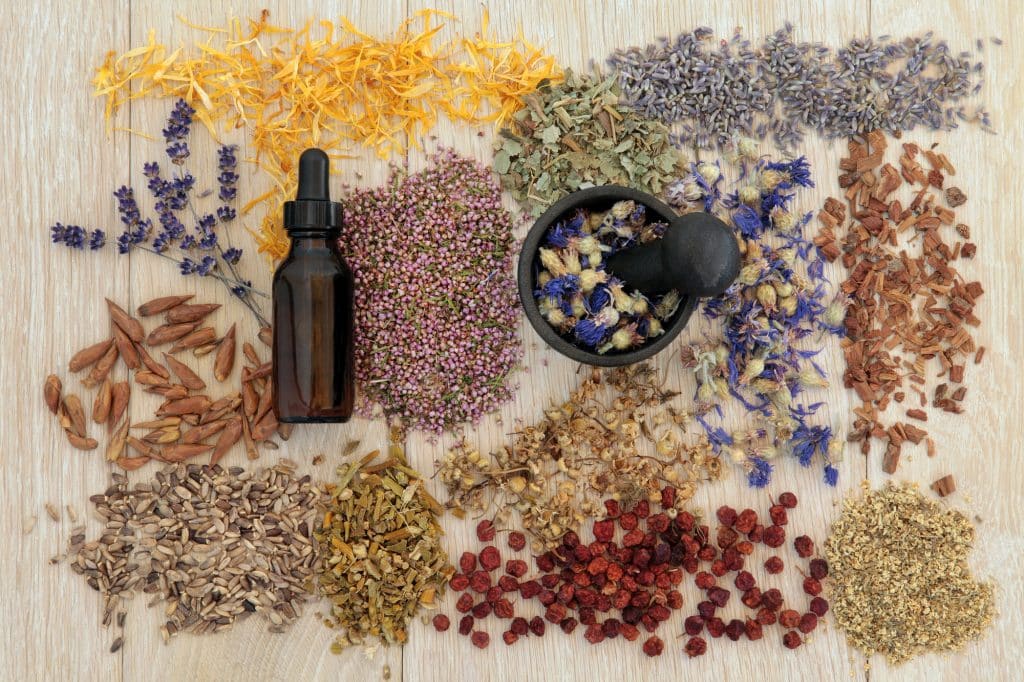Herbs For Psychic Ability 1024x682, Witchy Spiritual Stuff
