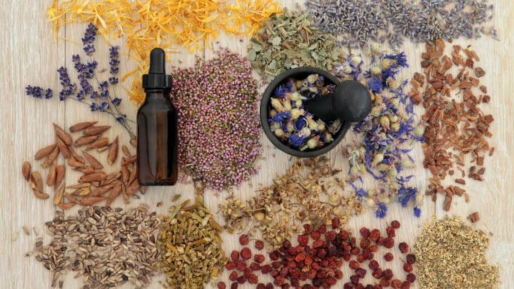 13 Herbs To Enhance Your Psychic Abilities
