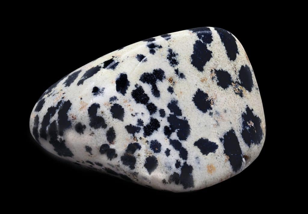 Dalmation Jasper