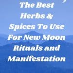 The Best Herbs & Spices To Use For New Moon Rituals and Manifestation