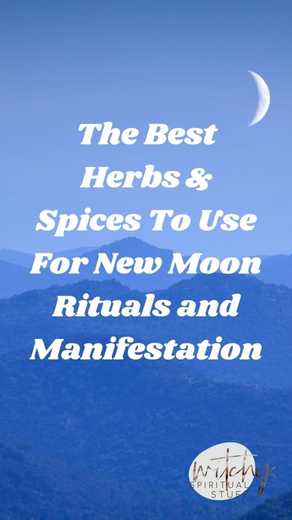The Best Herbs & Spices To Use For New Moon Rituals and Manifestation