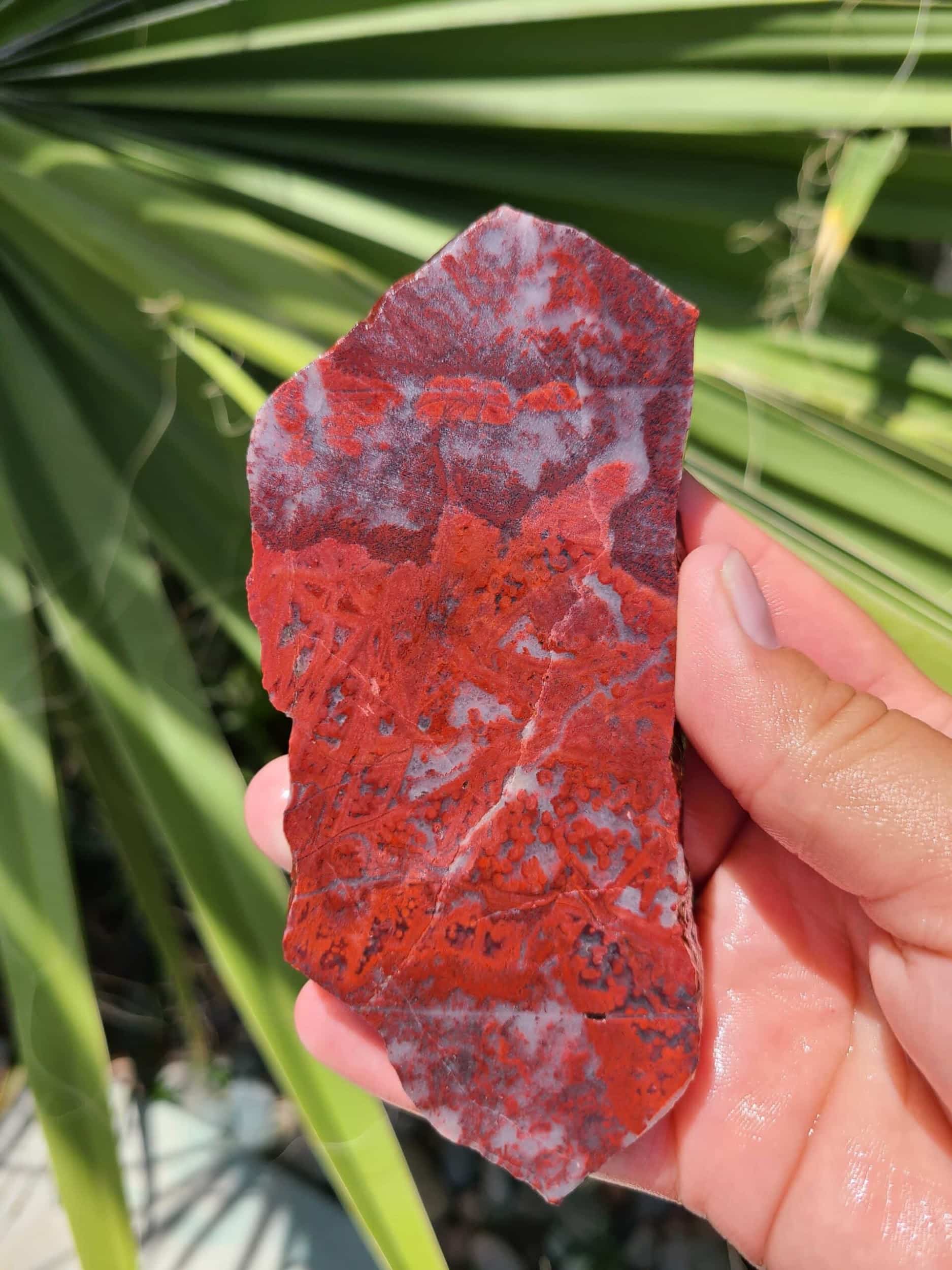 Red (Cave Creek) Jasper