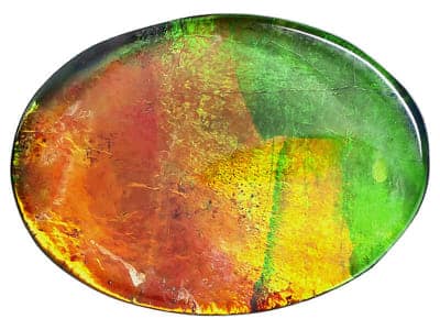 Ammolite