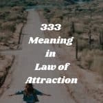 333 Meaning in Law of Attraction