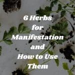 6 Herbs for Manifestation and How to Use Them