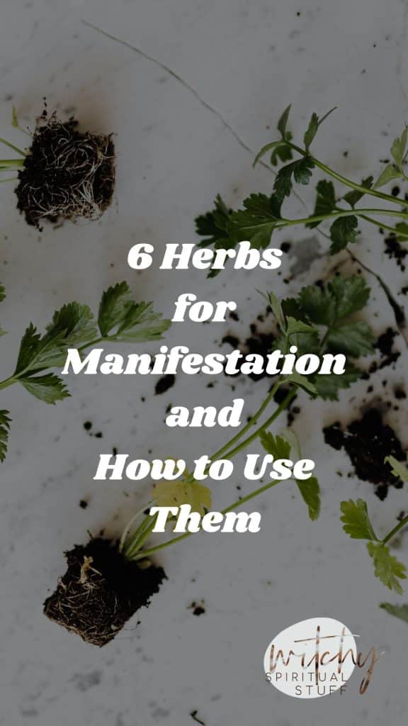 6 Herbs for Manifestation and How to Use Them