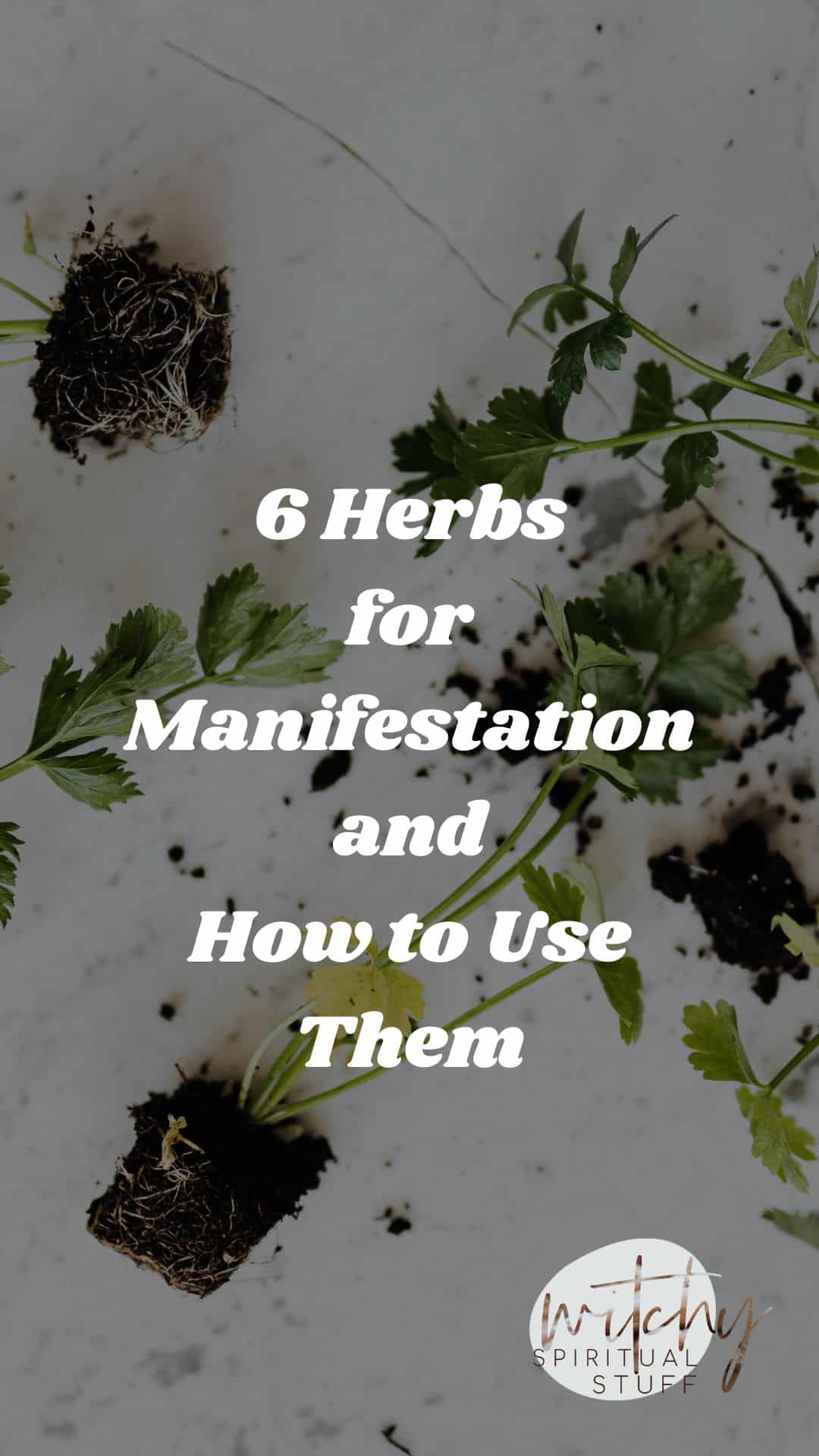 6 Herbs For Manifestation And How To Use Them