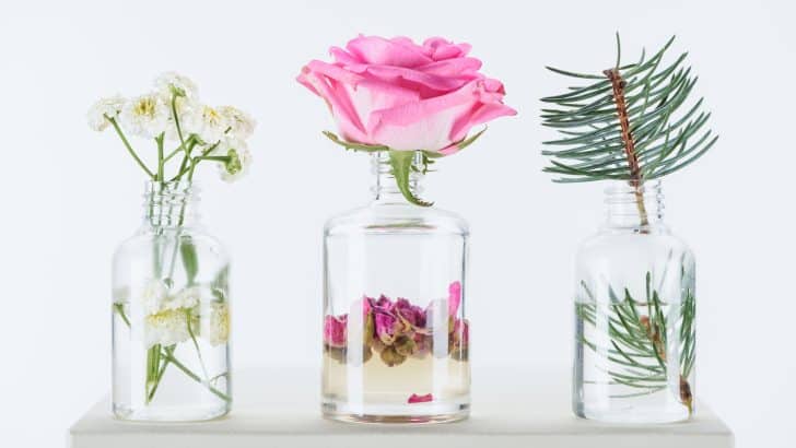 Uncovering Aromatherapy’s Secret to Total Wellness