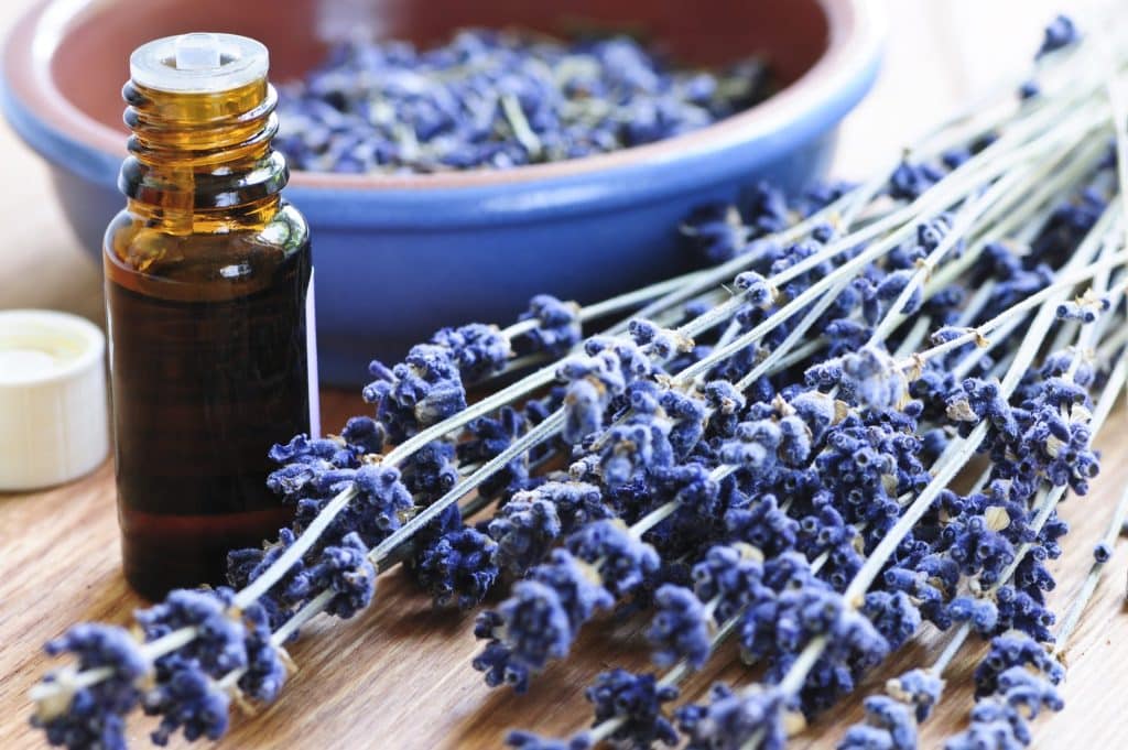 Lavender Essential Oil