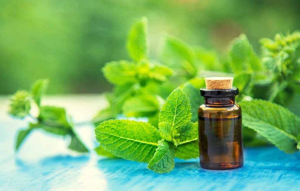 peppermint essential oil