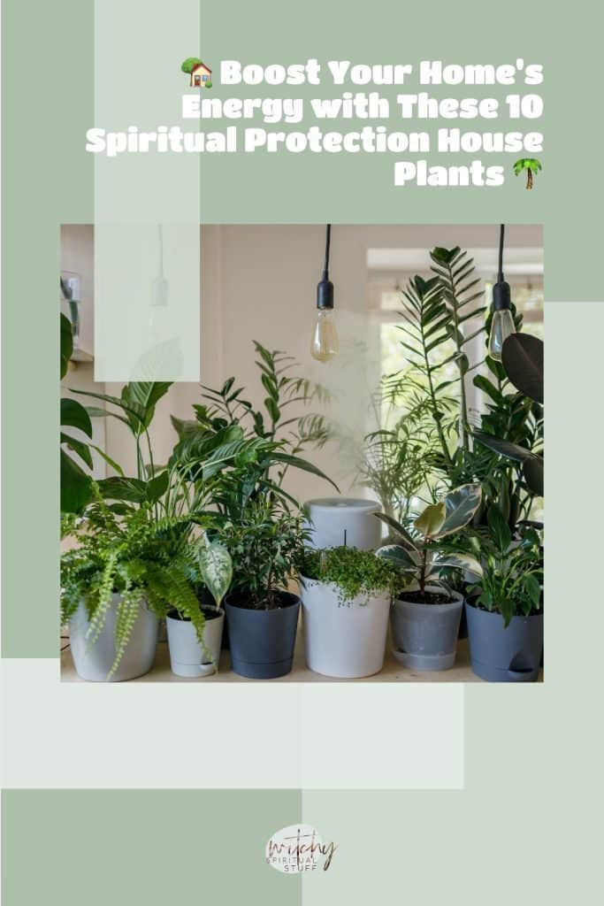 🏡 Boost Your Home's Energy with These 10 Spiritual Protection House Plants 🌴