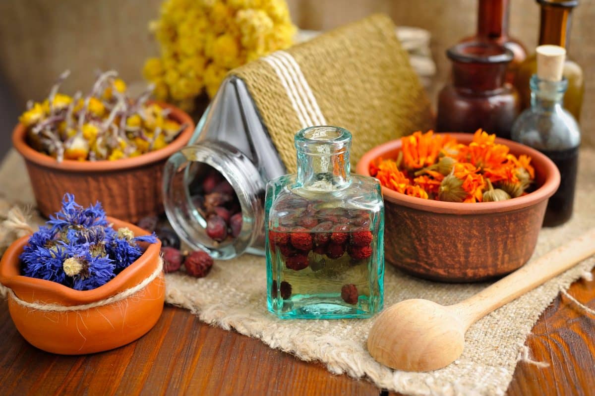 10 Herbs to Boost Your Confidence and Feel Your Best
