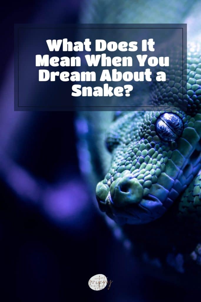 What Does It Mean When You Dream About a Snake?