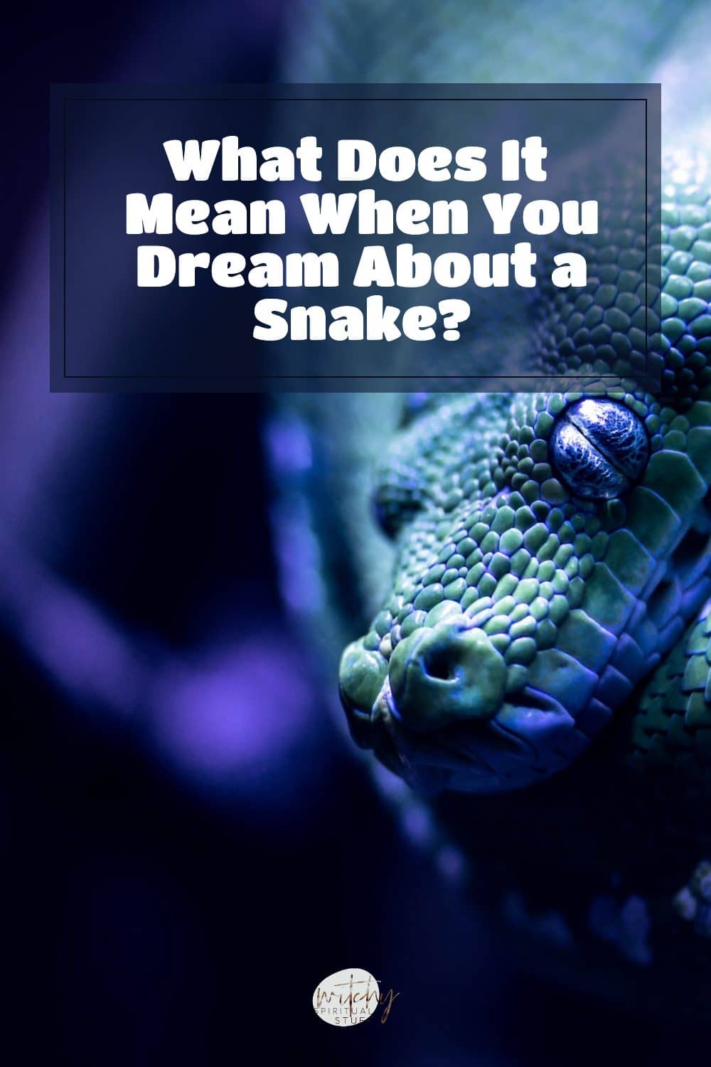 what-does-it-mean-when-you-dream-about-a-snake