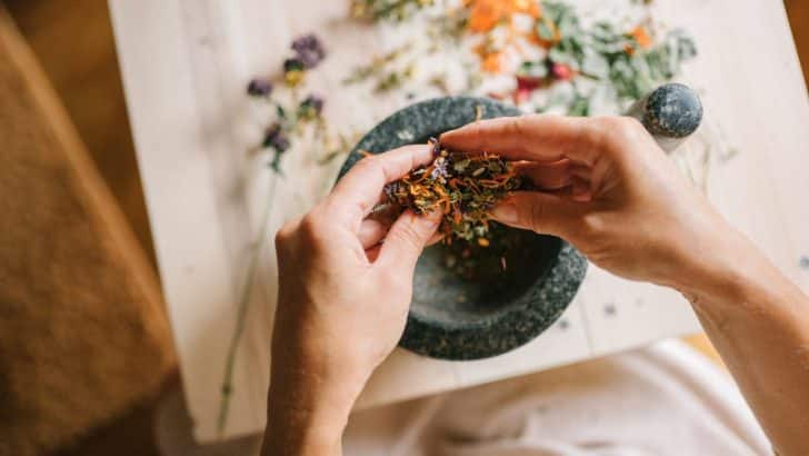 13 Ayurvedic Herbs to Have on Hand