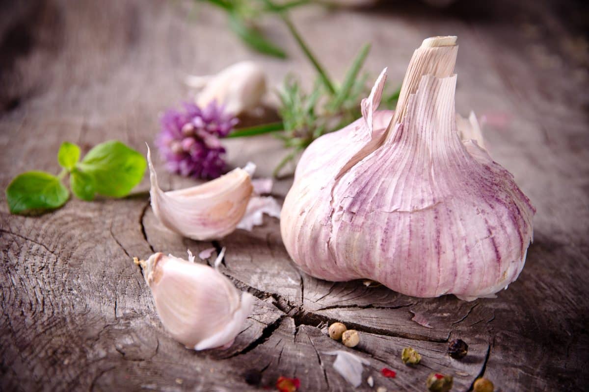 Using Garlic in Your Spiritual Practice: A Beginner’s Guide