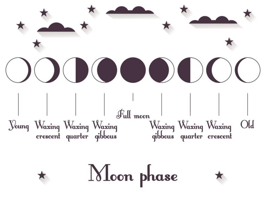 Moon Phases