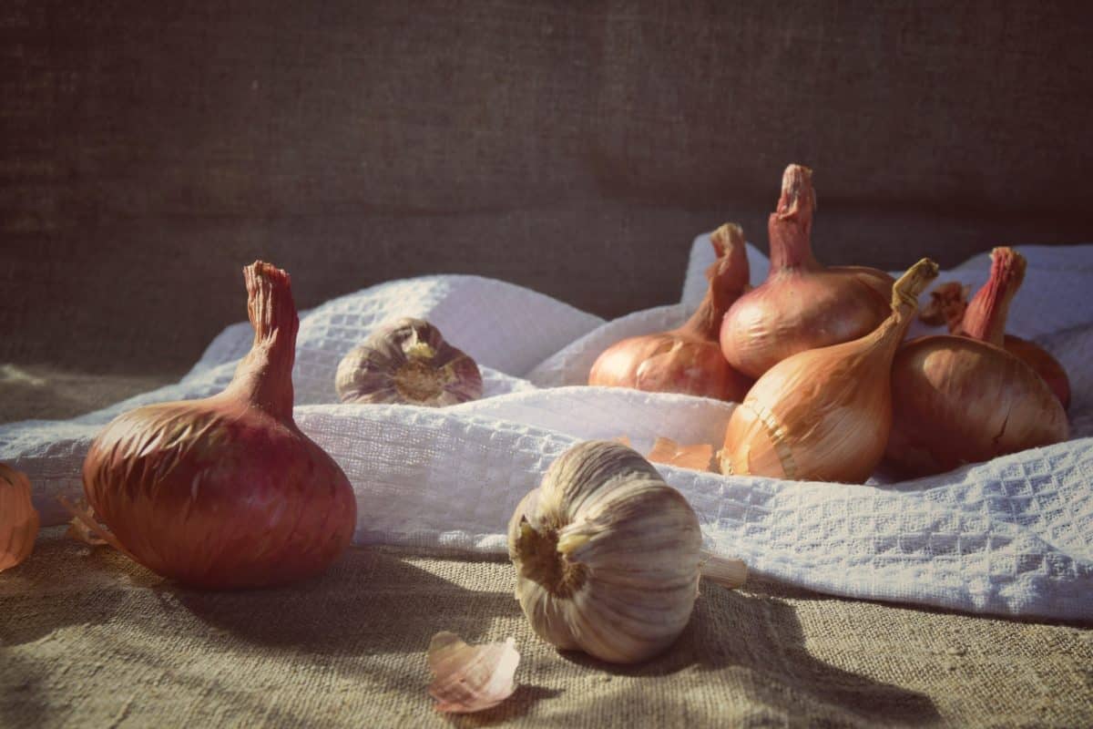Onion Magic: The Surprising Power of this Common Kitchen Herb in Herbal Witchcraft