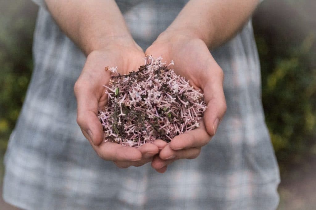 herbs for a return to sender spell