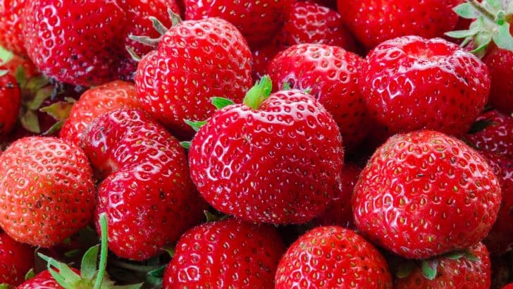 The Magical and Medicinal Uses of Strawberries in Herbal Medicine and Witchcraft