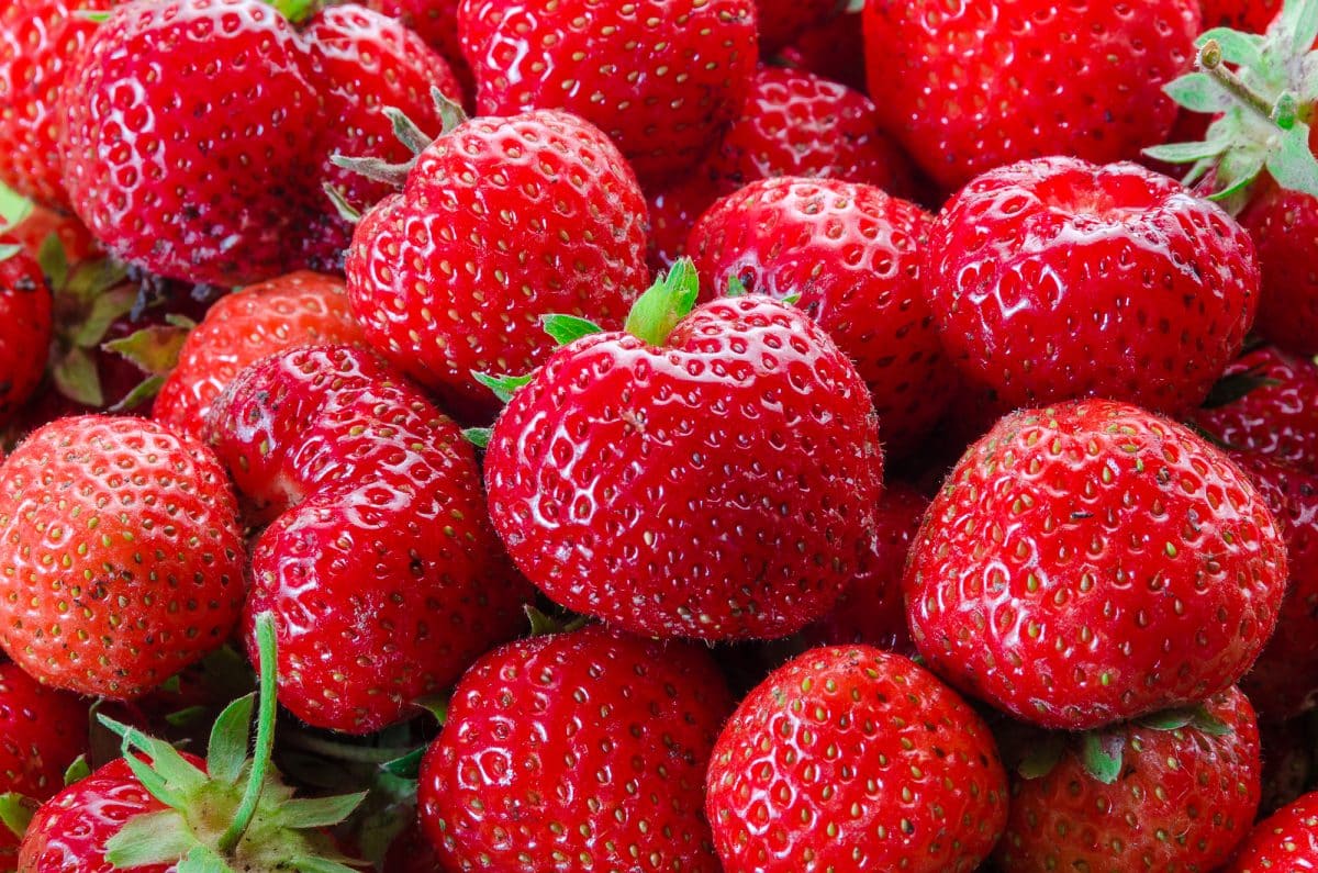 The Magical and Medicinal Uses of Strawberries in Herbal Medicine and Witchcraft