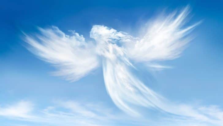 Are You Ready to Connect with Your Angels and Spirit Guides?