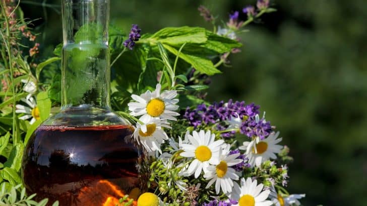 Blossoming Emotions: How Flower Essences Can Help Heal You