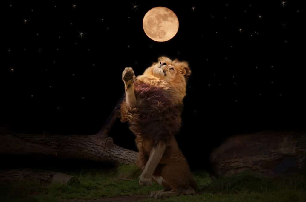 full moon in leo