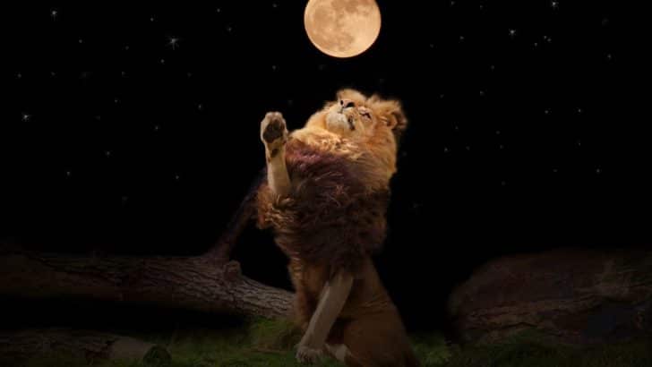 Understanding the Leo Full Moon