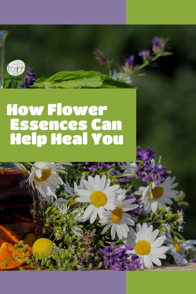 How Flower Essences Can Help Heal You