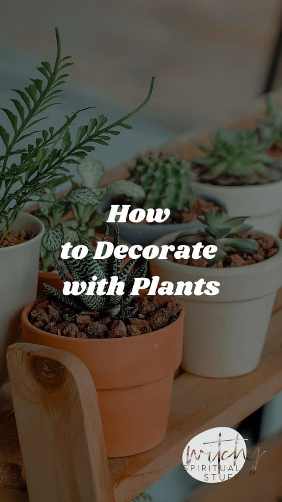 How to Decorate with Plants