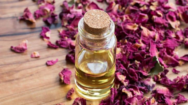 The Witch’s Guide to a Magical Valentine’s Day: Herbs, Oils, and Crystals for Love