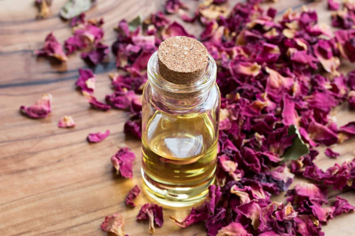 The Witch’s Guide to a Magical Valentine’s Day: Herbs, Oils, and Crystals for Love