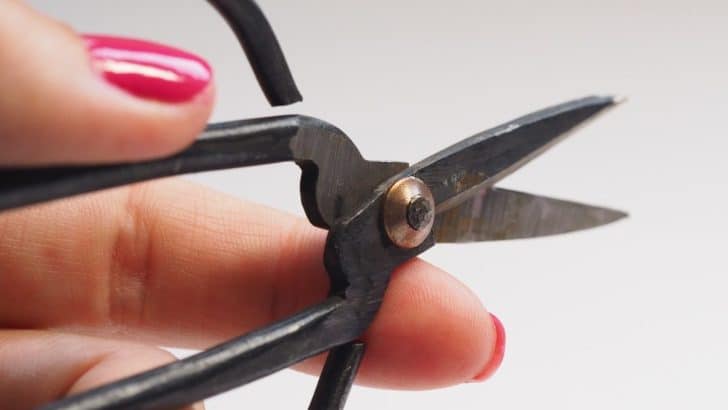 Cord Cutting Ritual to Reclaim Your Energy