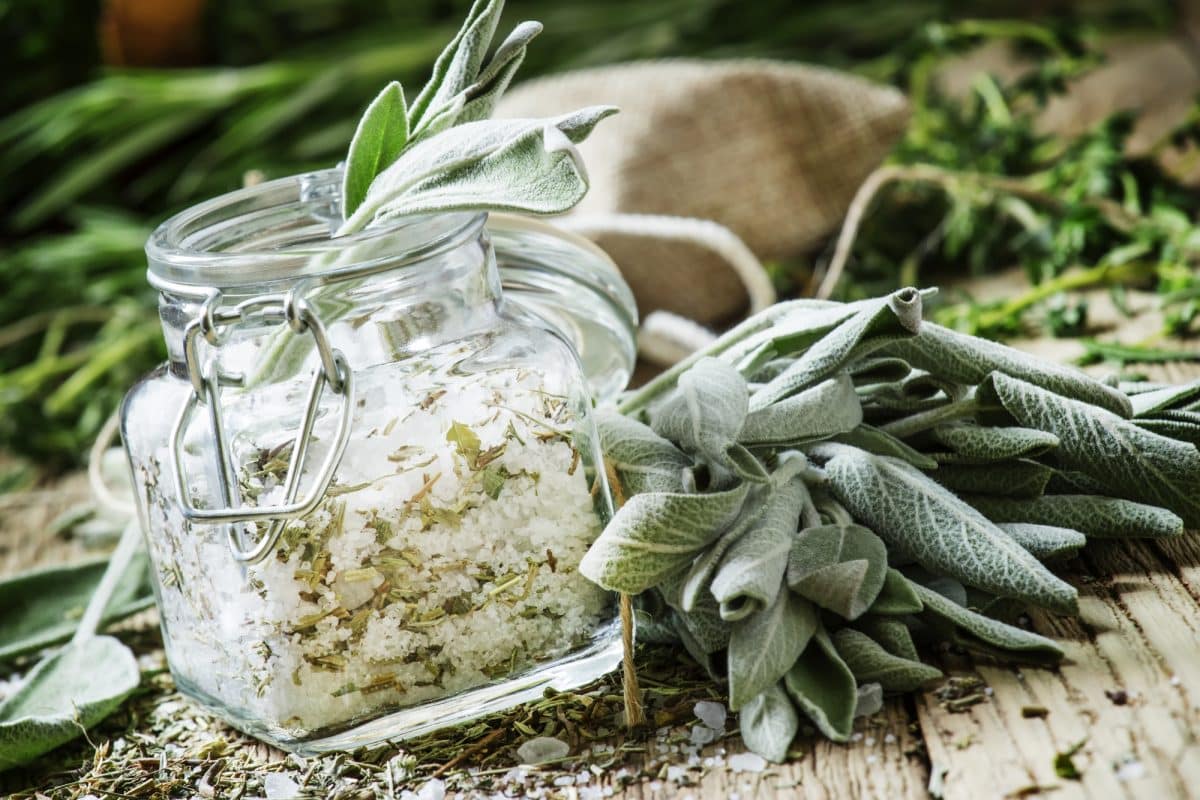 How to Cleanse Negative Energy from Your Home: Sage, Salt, and Sound