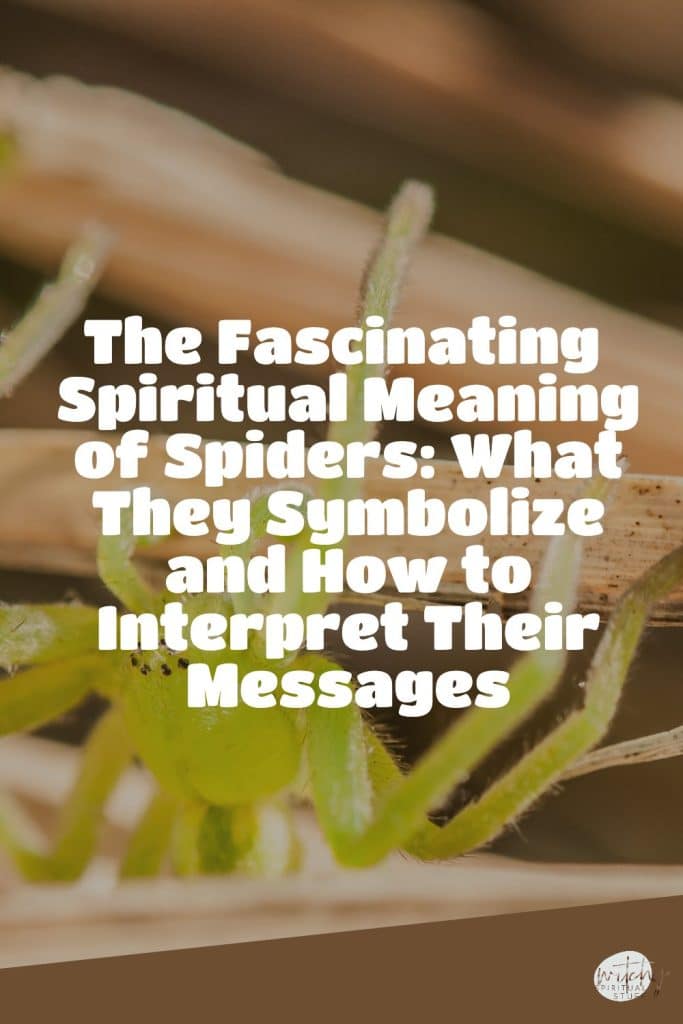 The Fascinating Spiritual Meaning of Spiders: What They Symbolize and How to Interpret Their Messages