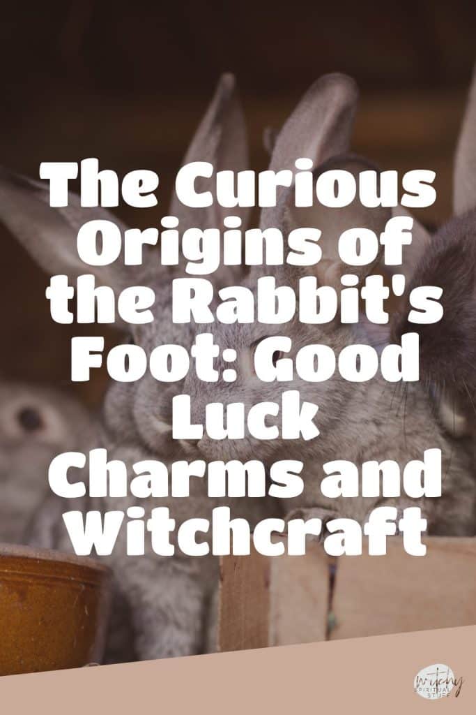 The Curious Origins of the Rabbit's Foot: Good Luck Charms and Witchcraft