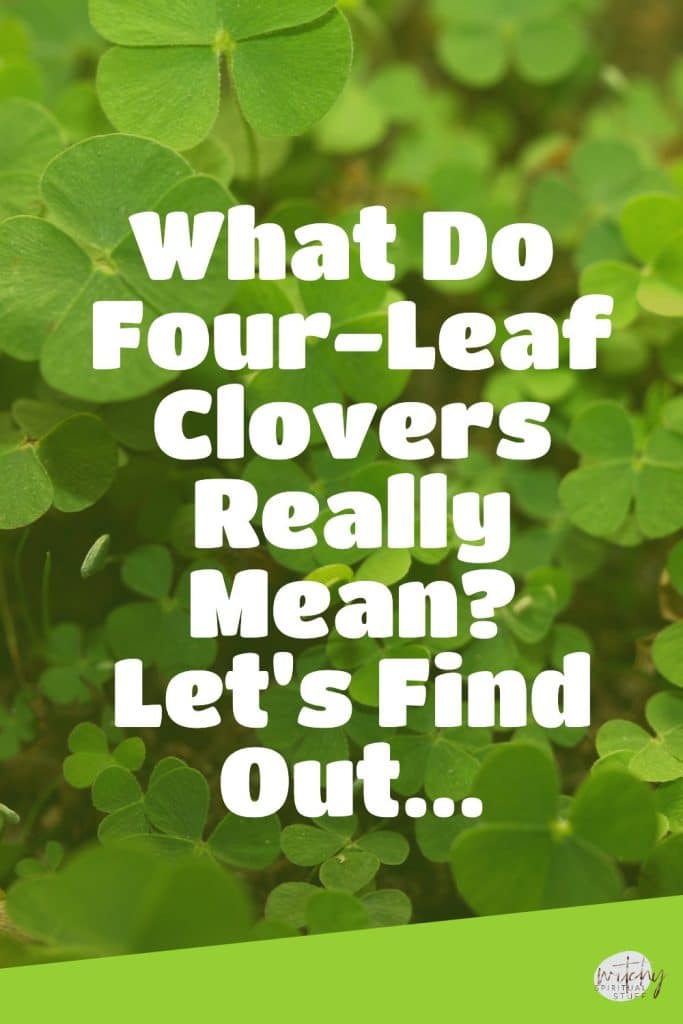 Remaining What Do Four-Leaf Clovers Really Mean? Let's Find Out...