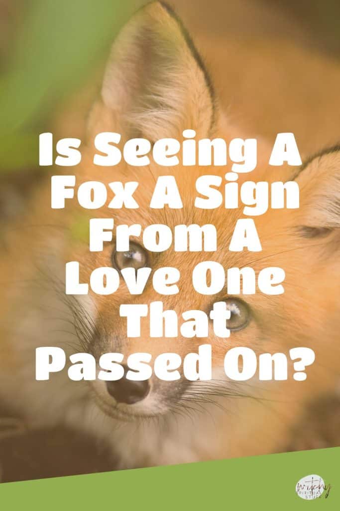 Is Seeing A Fox A Sign From A Love One That Passed On?