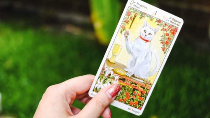 Tarot Unveiled: Unraveling the Enigma of Tarot Card Reading