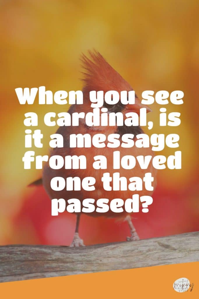 When you see a cardinal, is it a message from a loved one that passed?