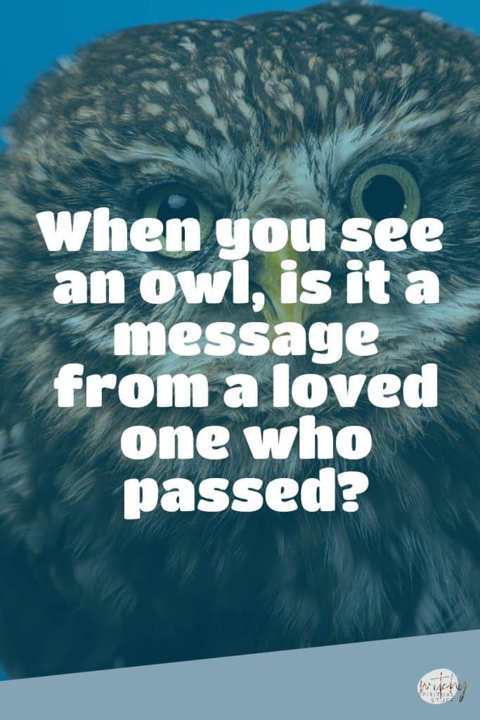 When you see an owl, is it a message from a loved one who passed?